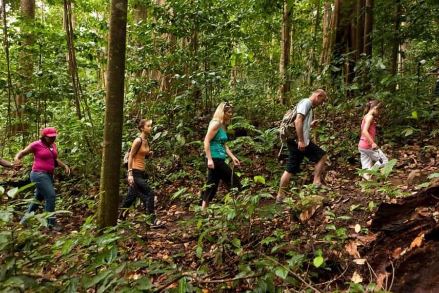 St. Lucia: Zip Line, Aerial Tram, and Hiking Tour - Riding the open-air aerial tram