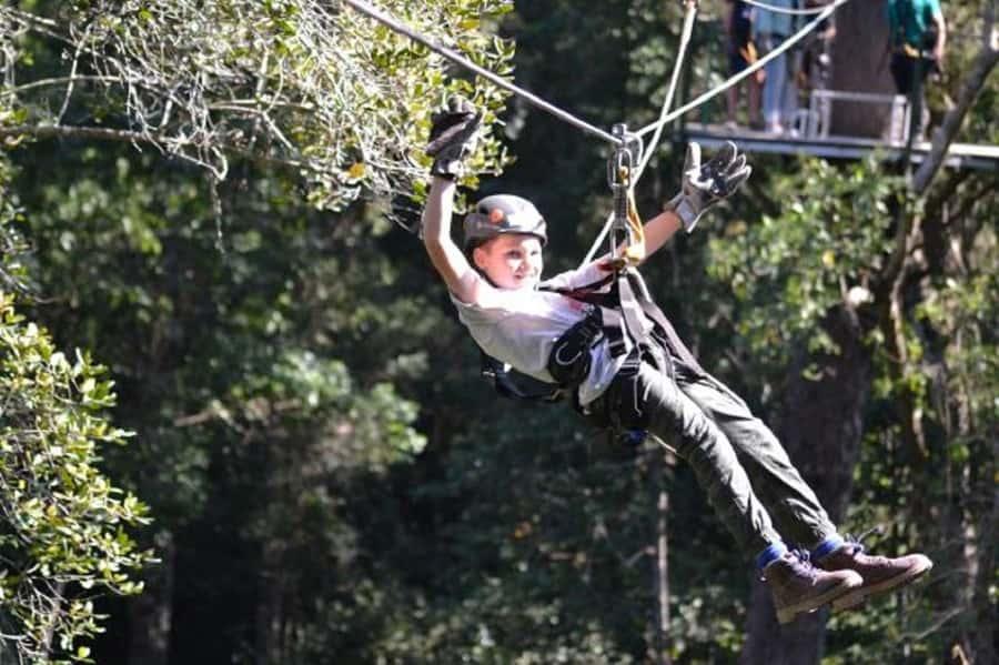 Storms River: Tsitsikamma National Park Zipline Canopy Tour - What makes this canopy tour worth your time