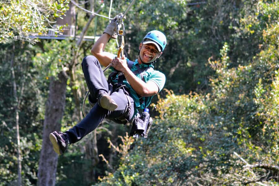 Storms River: Tsitsikamma National Park Zipline Canopy Tour - Ten platforms through the yellowwoods