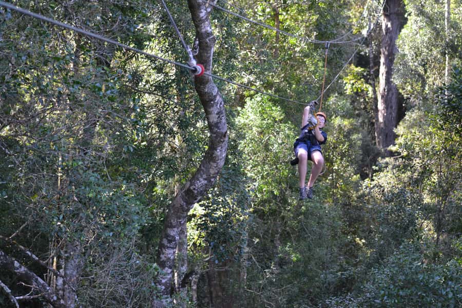 Storms River: Tsitsikamma National Park Zipline Canopy Tour - Forest lessons between each flight
