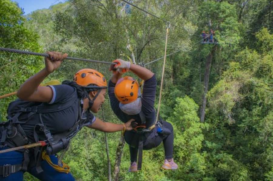 Storms River: Tsitsikamma National Park Zipline Canopy Tour - What the 600-metre walk changes