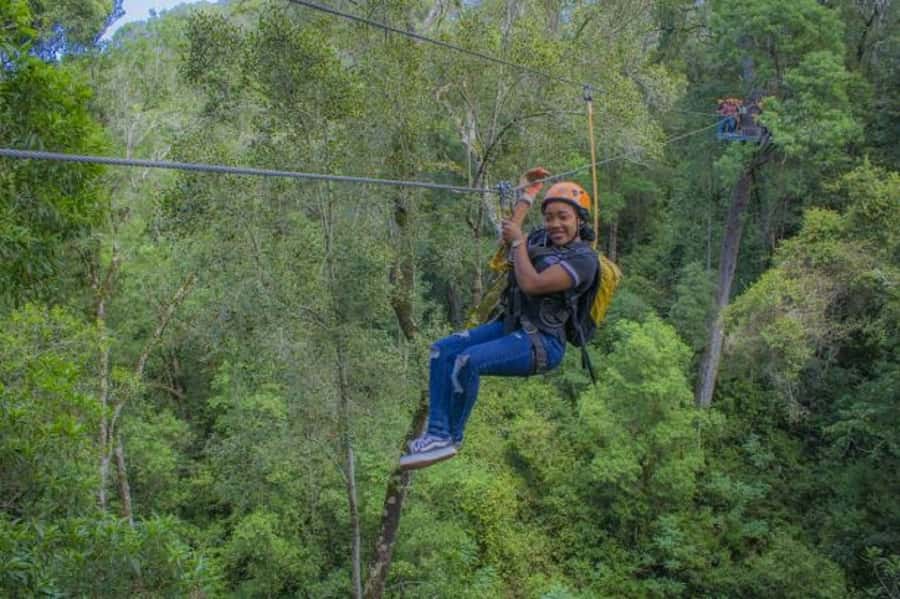 Storms River: Tsitsikamma National Park Zipline Canopy Tour - Is $55 a fair price?