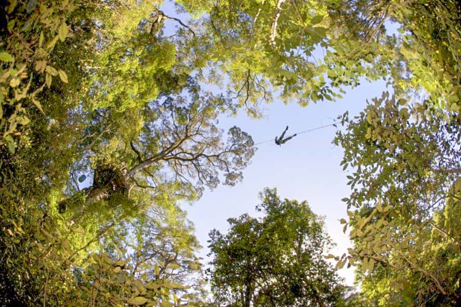 Storms River: Tsitsikamma National Park Zipline Canopy Tour - Weather, clothing, and useful planning tips