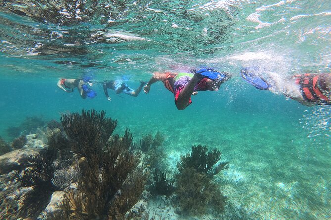Super Combo ATV in Cancun with Zipline, Snorkel, Cenote, transfer - From your hotel to the Puerto Morelos reef