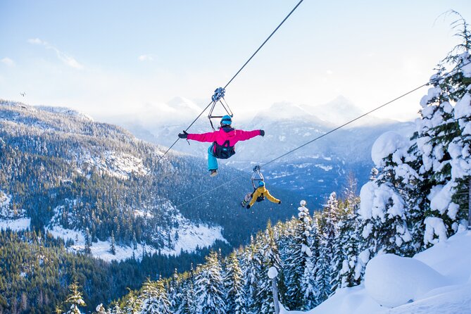 Superfly Ziplines on Cougar Mountain - includes 4 ziplines! - Key points before you book
