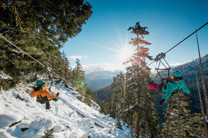 Superfly Ziplines on Cougar Mountain - includes 4 ziplines! - What the morning or afternoon looks like