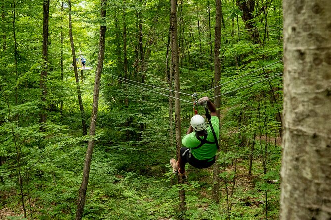 Superman Zipline Tour in Morningside - Bridges, platforms, and the rhythm of the tour