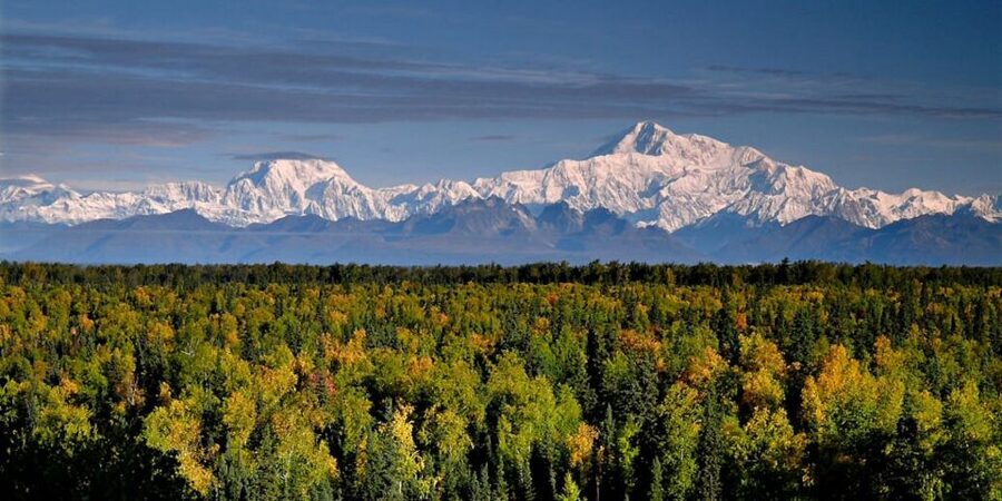 Talkeetna: Denali Zipline Tours - Ground school before the first zip
