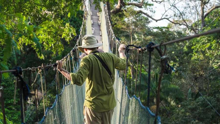 Tambopata: Zipline Adventure & Kayak to Monkey Island - From Puerto Maldonado to the Madre de Dios River