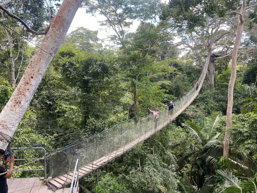 Tambopata: Zipline Adventure & Kayak to Monkey Island - Kayaking from the lodge to Monkey Island