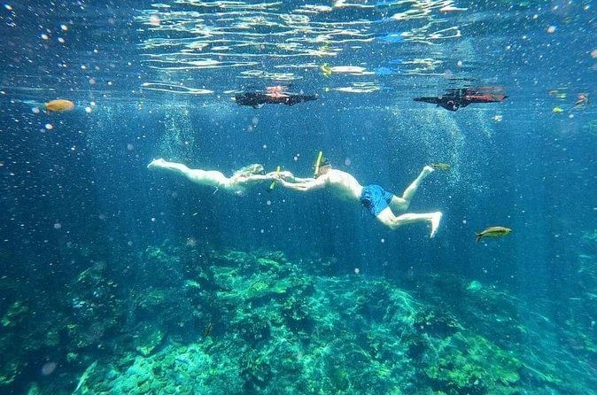 Tankah Mayan Village Zipline Nature Park - Three Open Cenotes With Time to Explore