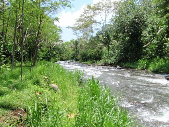 Telaga Waja River Rafting Bali & Zipline (Less Stairs) - The Optional Dam Descent