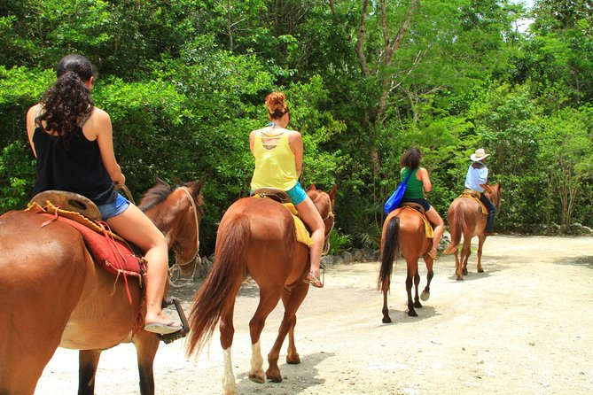 The best ATVs, zipline, cenote tour with lunch and transportation - Lunch, drinks, and the cash you should carry