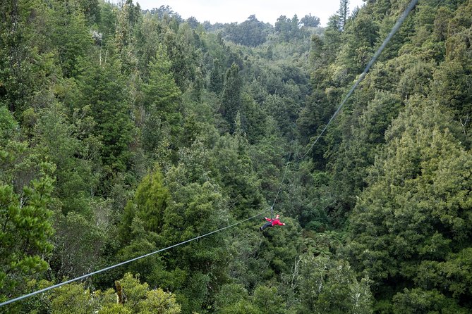 The Ultimate Canopy Zipline Experience Private Tour From Auckland - Coffee, hills, and the road to Rotorua