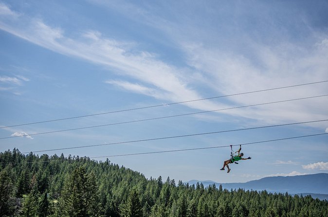 Thrilling 2-Hour Zipline Tour in Radium Hot Springs - What the $85.30 Price Gets You