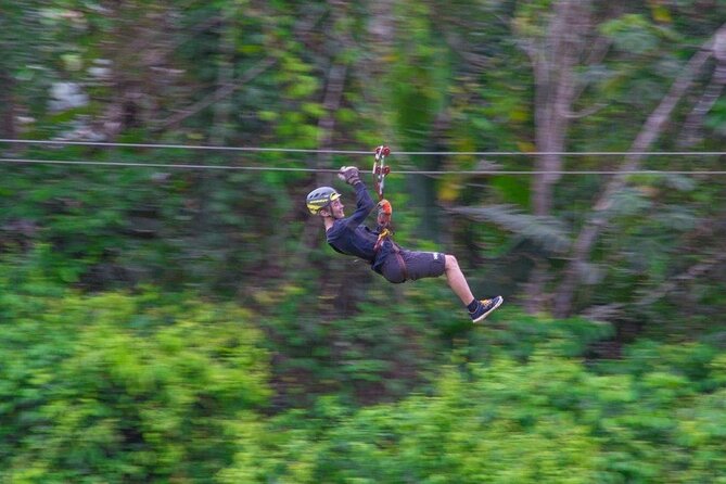Thrilling Zipline Adventure at Bocawina Rainforest - How the guides shape the experience