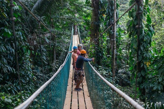 Thrilling Zipline Adventure at Bocawina Rainforest - Moving through 12 to 14 rainforest platforms