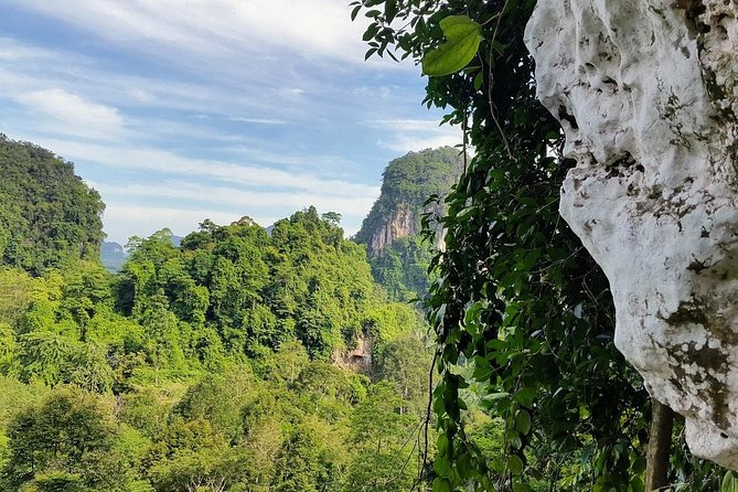 Thrilling Zipline Adventures at Thai'd Up in Krabi's Lush Jungle - Guides make a real difference when the course gets high