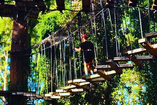 Top Rated Atlas Mountains Zipline from Marrakesh - Practical details that affect your day