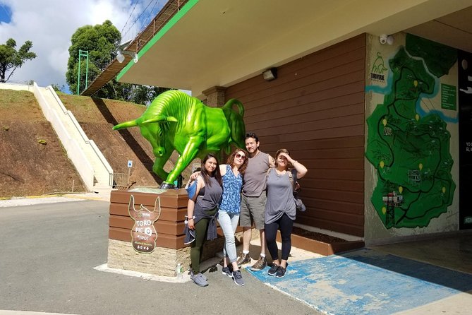 Toro Verde 7-Zipline Tour Plus the Monster with Transport - Food, facilities, and the shape of the day