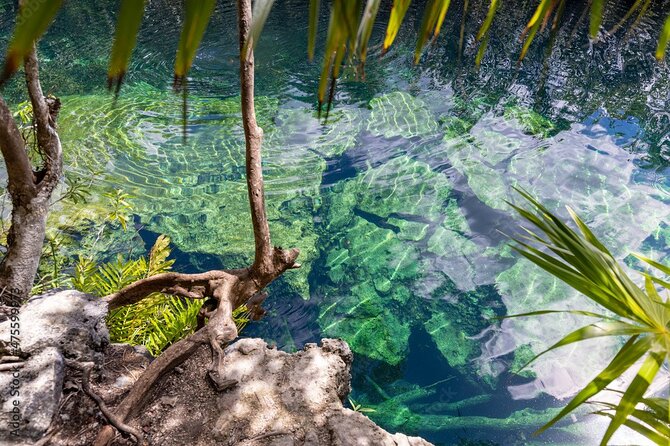 Tour 4 Cenotes Casa Tortuga Tulum. Food + Zipline. Includes Pickup. - Tres Zapotes Abierto and Wishco Semi Abierto