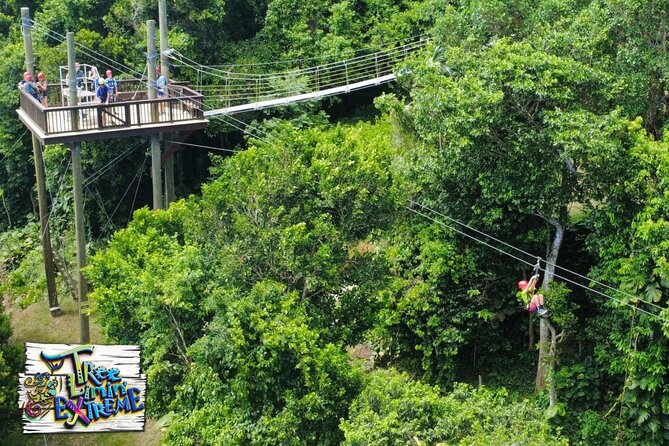 Tree Limin' Extreme Zipline - Practical tips for a smoother ride