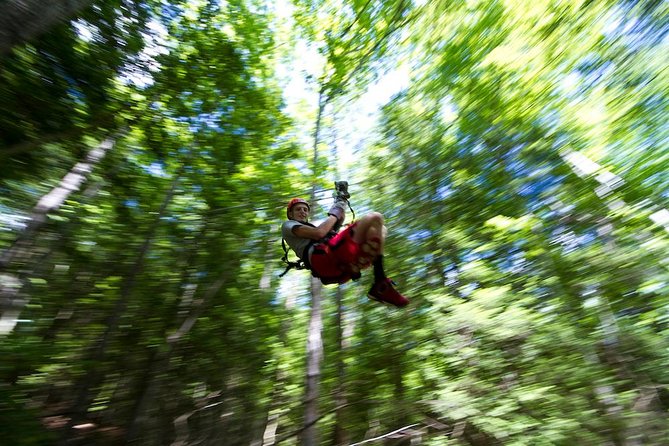 Tree Tops Zip Line Canopy Tour - Key Points to Know Before You Book