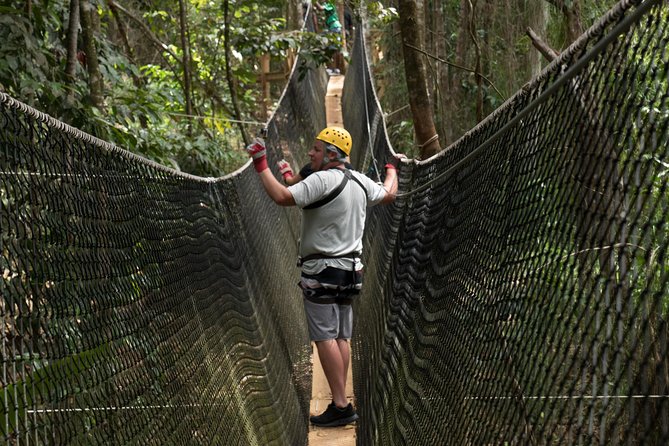 Treetop Adventure Park Canopy Tour - Twelve ziplines through St. Lucia’s rainforest
