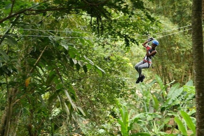 Treetop Adventure Park Canopy Tour - The air-conditioned ride from Castries