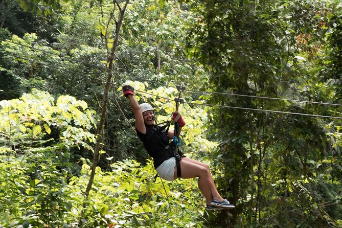 Treetop Adventure Park Canopy Tour - What the one-hour course feels like