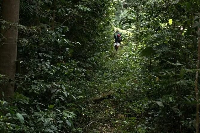 Treetop Adventure Park Canopy Tour - Who should book this experience?