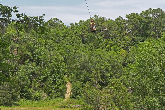 Treetop Express Zip Line Tour with 5 Zip Line Flights & 2 Sky Bridges Included - Starting low before the course rises
