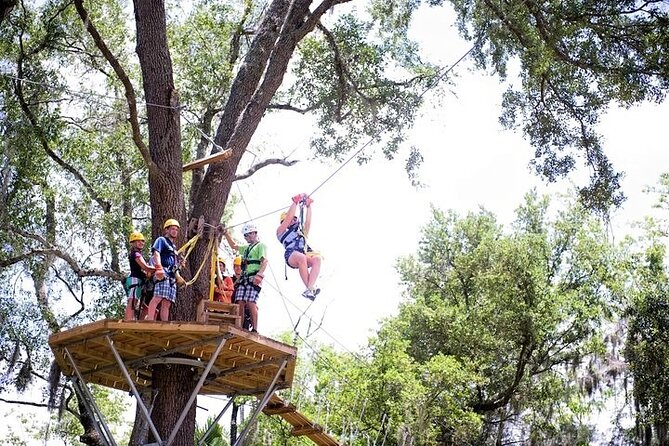 Treetop Express Zip Line Tour with 5 Zip Line Flights & 2 Sky Bridges Included - Two sky bridges break up the zip lines