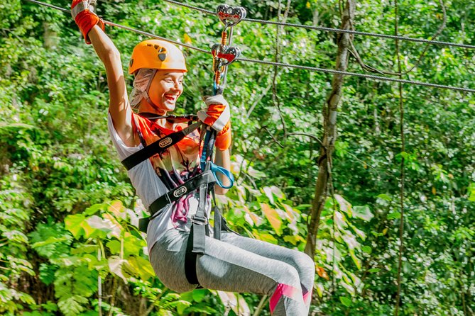 Treetop Zipline Experience From Castries - The rainforest from 150 feet up