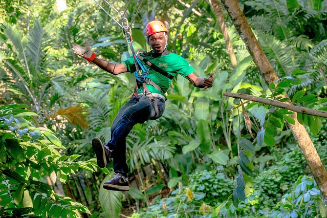 Treetop Zipline Experience From Castries - What is included after the final line