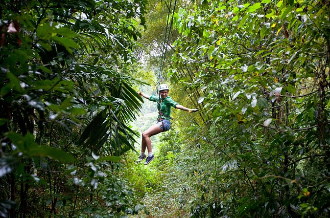 Treetop Zipline Experience From Castries - Is the $121.60 price fair?