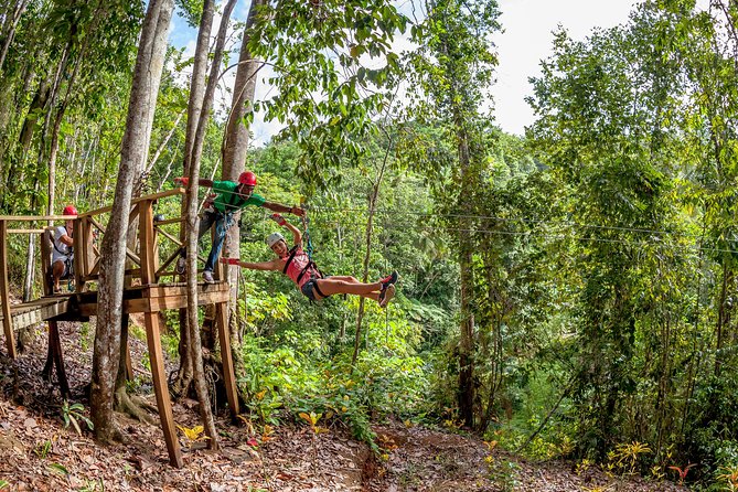 Treetop Zipline Experience From Castries - Getting started at 11:30 a.m.