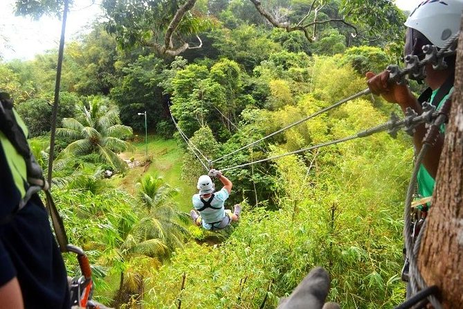 Trinidad Zipline Adventure - Key points to know