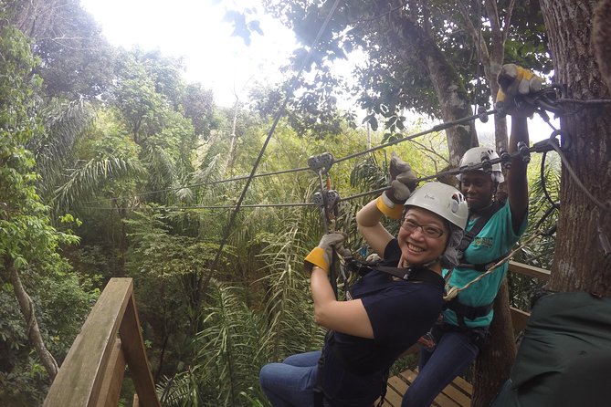 Trinidad Zipline Adventure - Seven or eight lines through the canopy