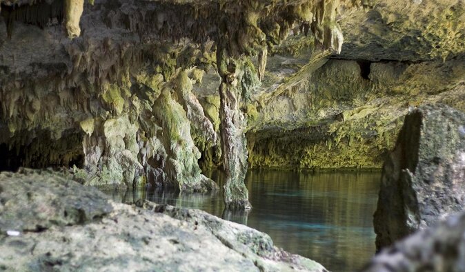 Tulum E-Bike Jungle Zip Line/Repel Snorkel Cenote + Lunch - Key points to know before booking