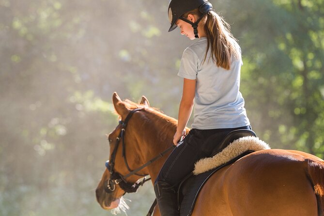 Tulum Jungle Horseback Ride + ATV + Ziplines + Cenote Combo Tour - A high-energy way to see the Tulum jungle