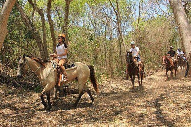 Tulum Jungle Horseback Ride + ATV + Ziplines + Cenote Combo Tour - Lunch, lemonade, and hammock time