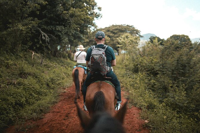 Tulum Jungle Horseback Ride + ATV + Ziplines + Cenote Combo Tour - What the $125 price really buys you