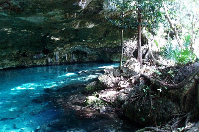 Tulum Wild Adventure Tour with ATV, Ziplining and Cenote - Arriving at Maya Adrenaline