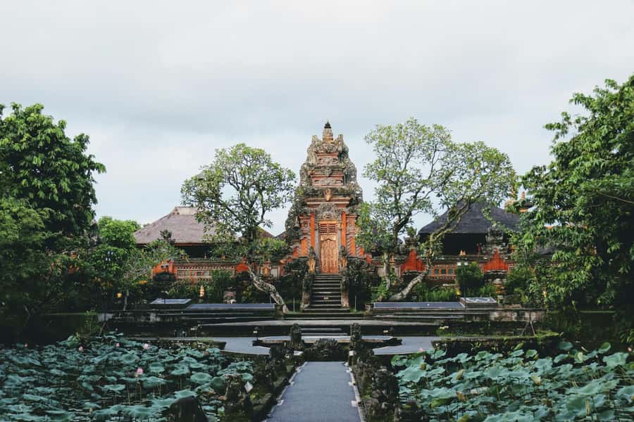 Ubud 3-in-1: Swing, Zipline & SkyBike Adventure - U Fun Field: the main event in one hour