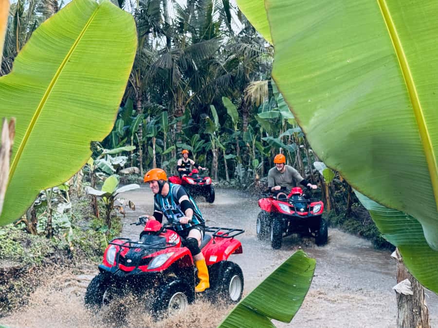 Ubud: ATV Quad Bike & Zip-Line Adventure with Meal - Flying above the Tegalalang rice terraces