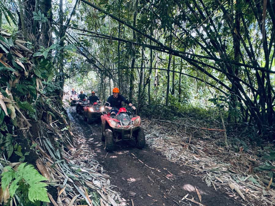 Ubud: ATV Quad Bike & Zip-Line Adventure with Meal - The coffee farm stop and Balinese conversation