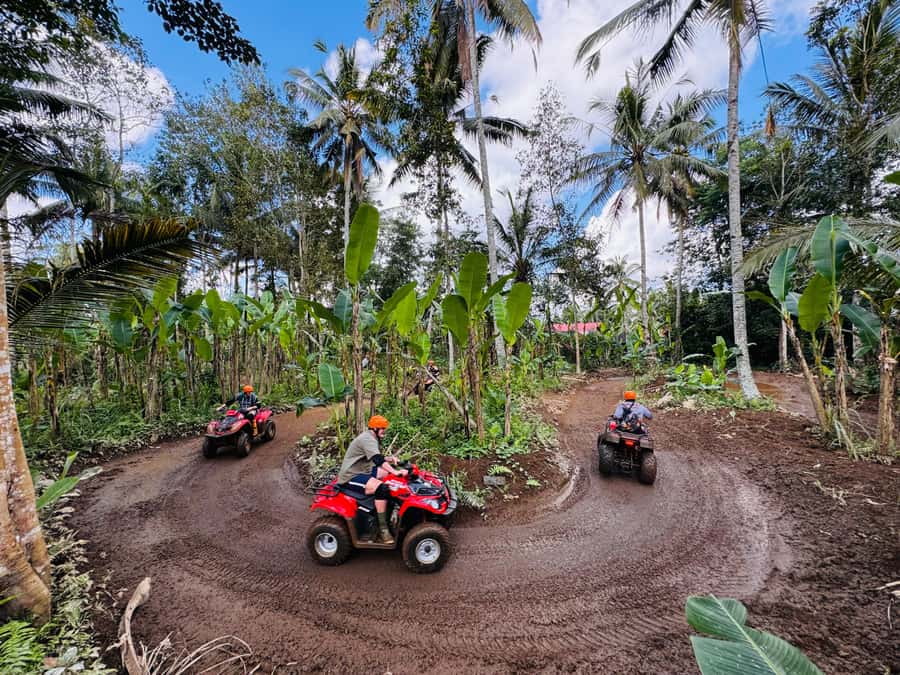 Ubud: ATV Quad Bike & Zip-Line Adventure with Meal - Is $24 good value?