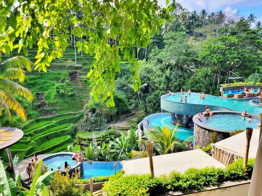 Ubud: Batur Cafe Sunrise, Zip-Line & Cretya Day Club Tour - Alas Harum turns the afternoon into an adrenaline stop