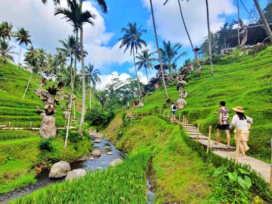 Ubud: Batur Cafe Sunrise, Zip-Line & Cretya Day Club Tour - Is $33 good value for seven hours?